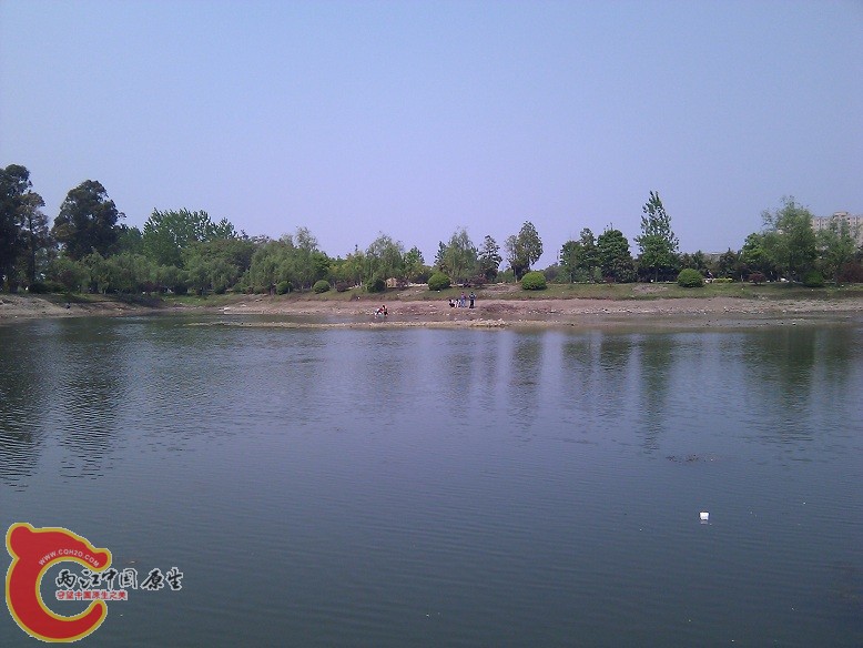 WP_0000031.jpg