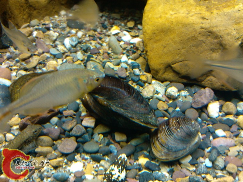 IMG_20120420_212016 (800x600).jpg