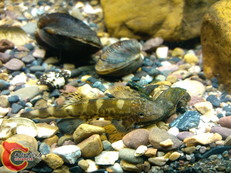 IMG_20120420_212114 (800x600).jpg