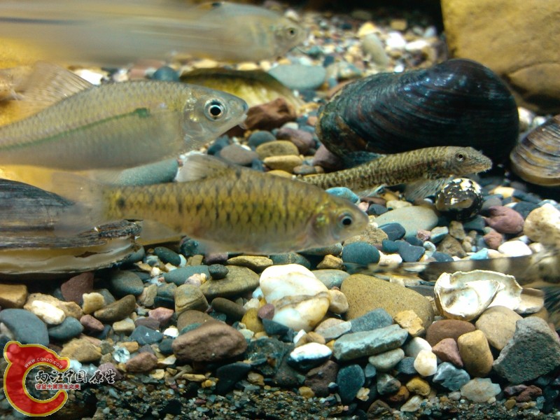 IMG_20120420_212347 (800x600).jpg