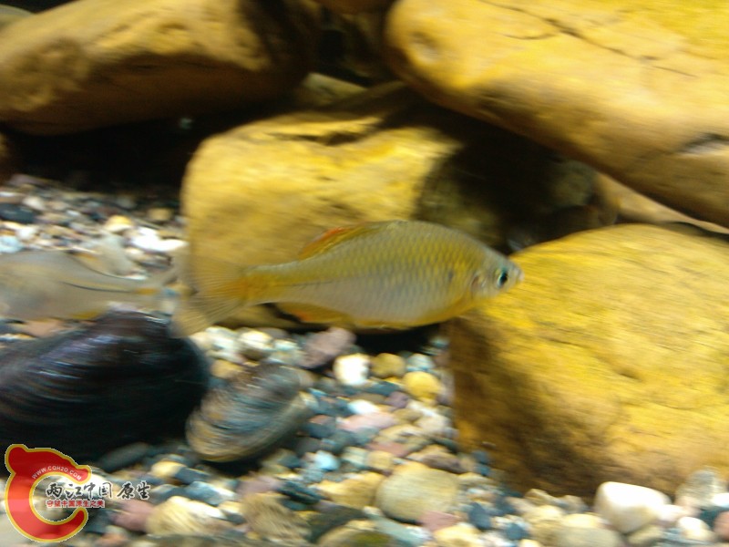 IMG_20120420_212427 (800x600).jpg