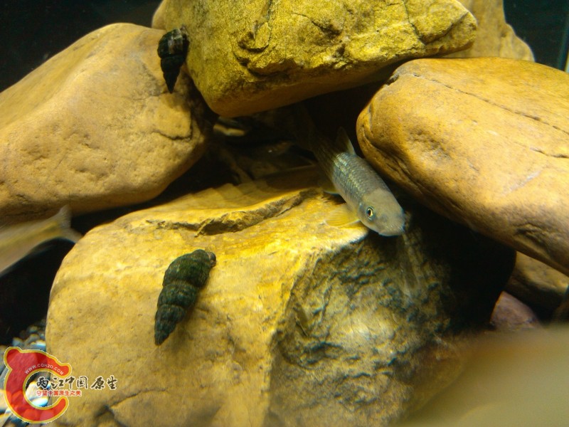 IMG_20120421_193039 (800x600).jpg