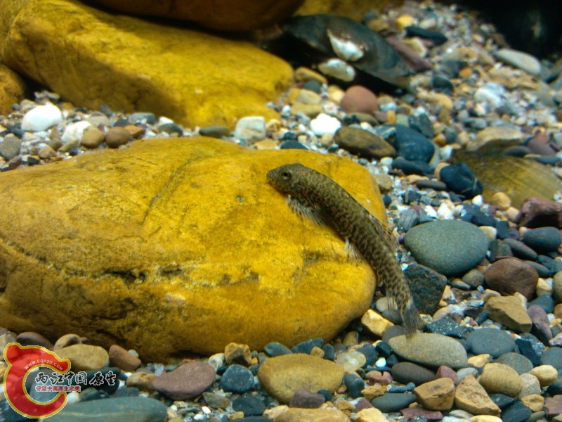 IMG_20120421_194205 (800x600).jpg