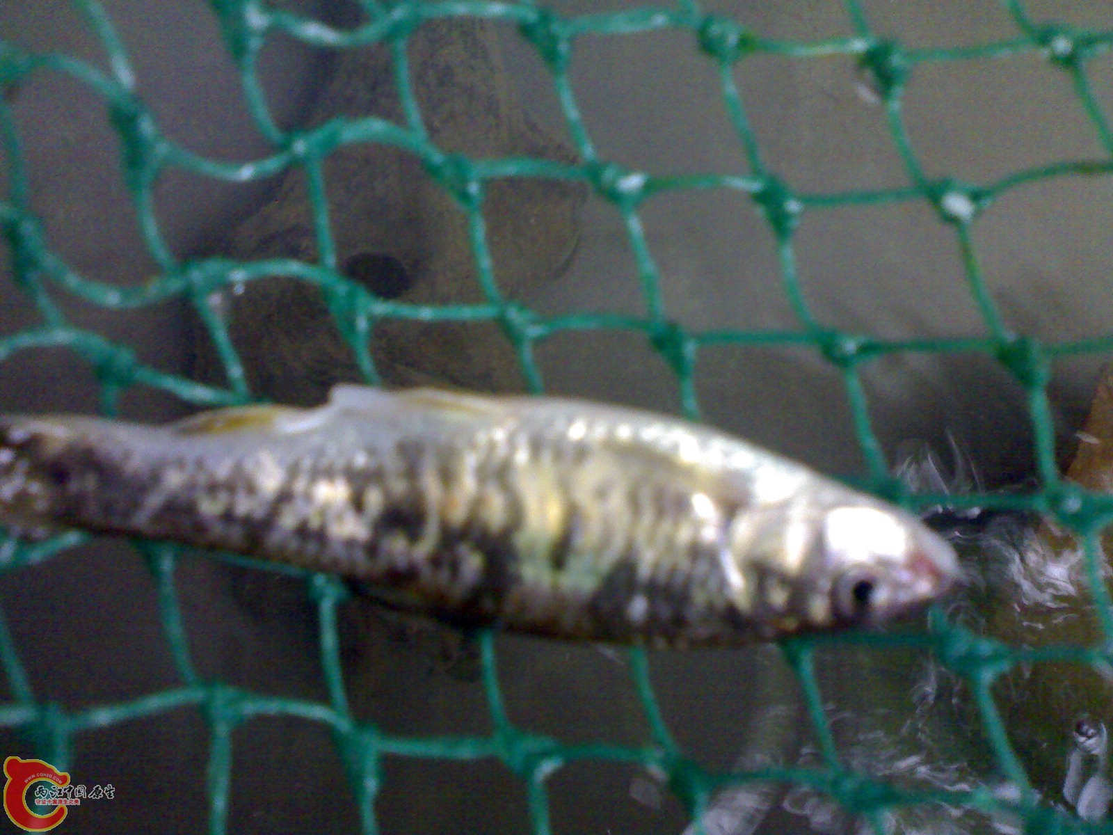 20120419146.jpg