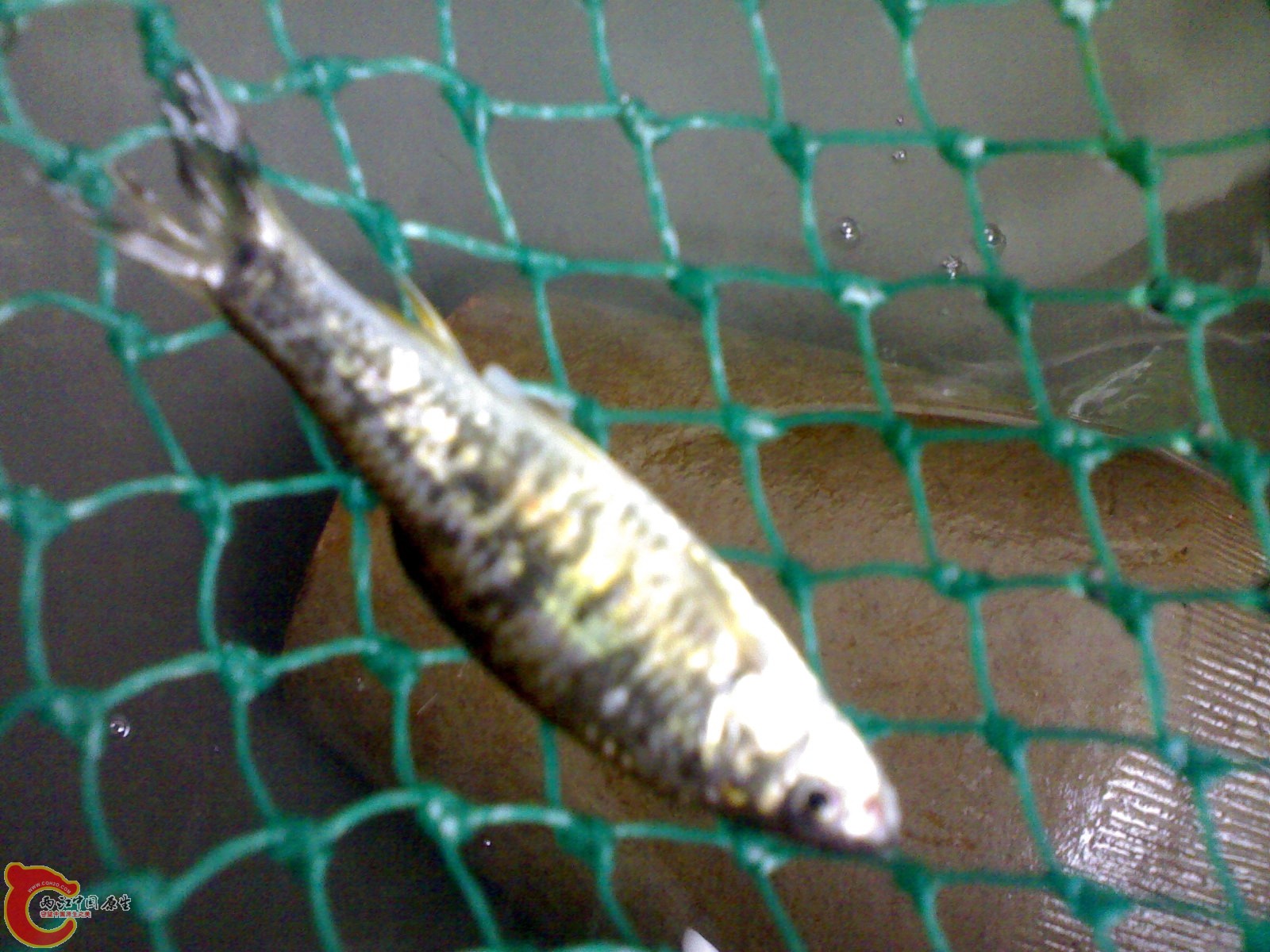 20120419147.jpg
