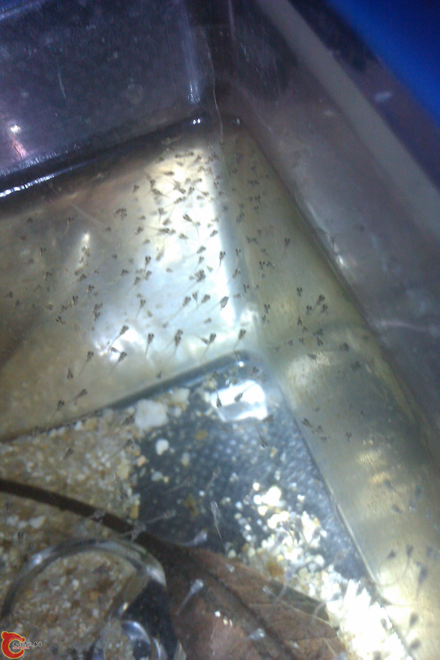 IMAG0264.jpg