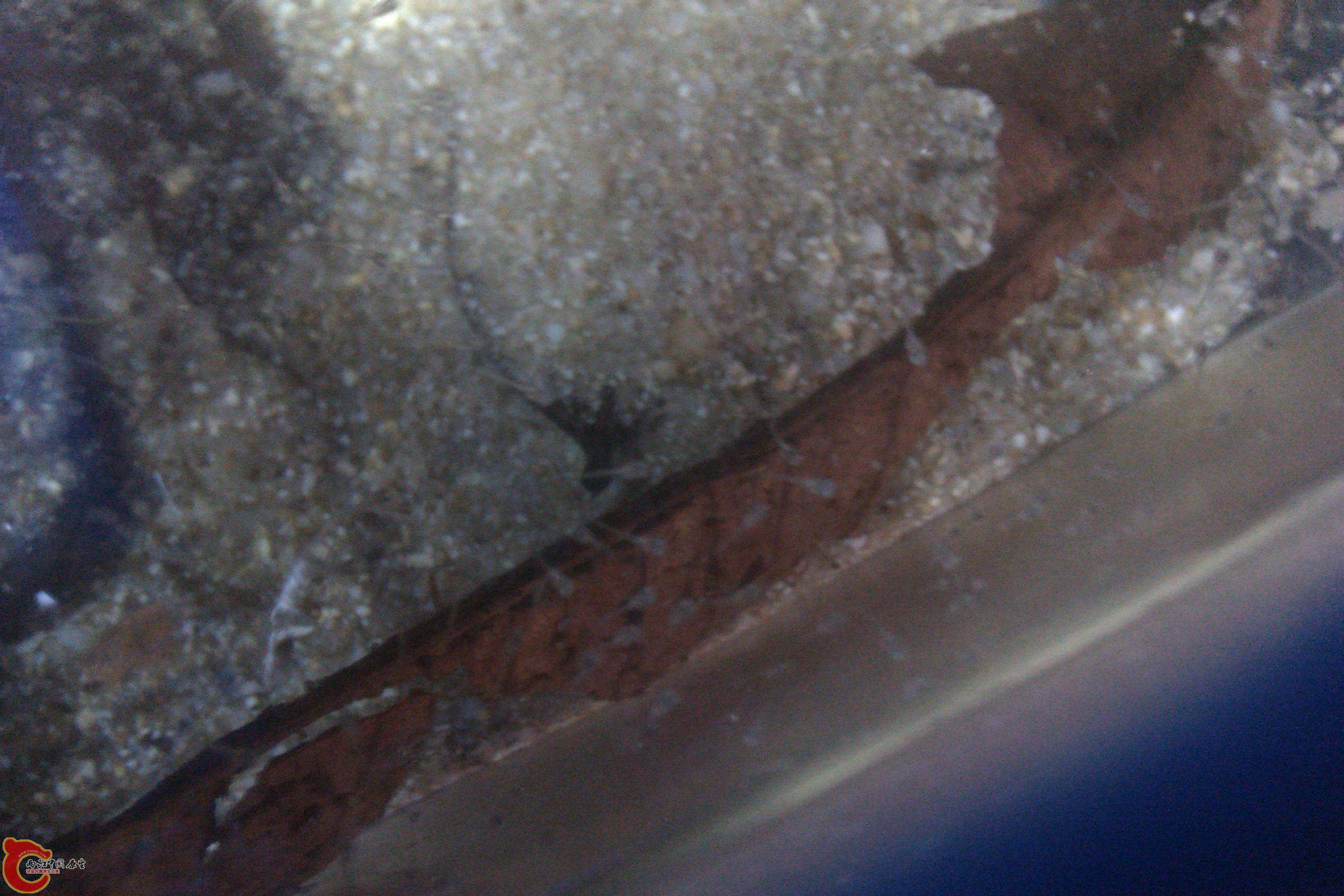 IMAG0261.jpg