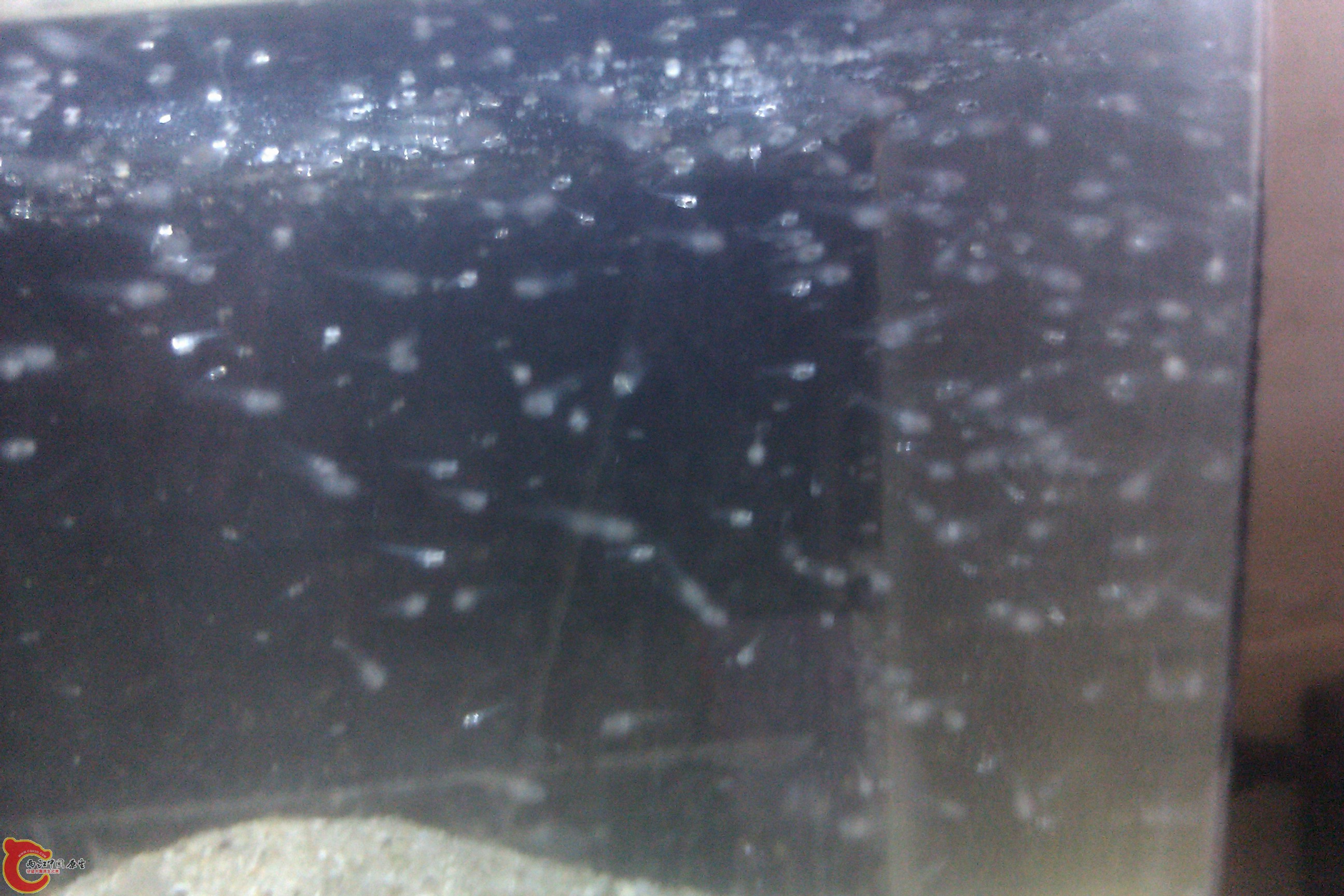 IMAG0265.jpg