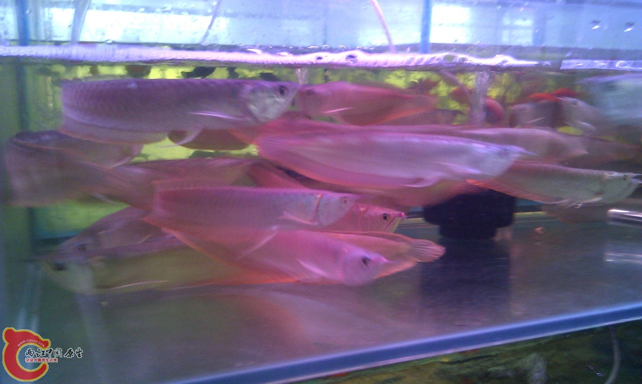 20120420-859.jpg