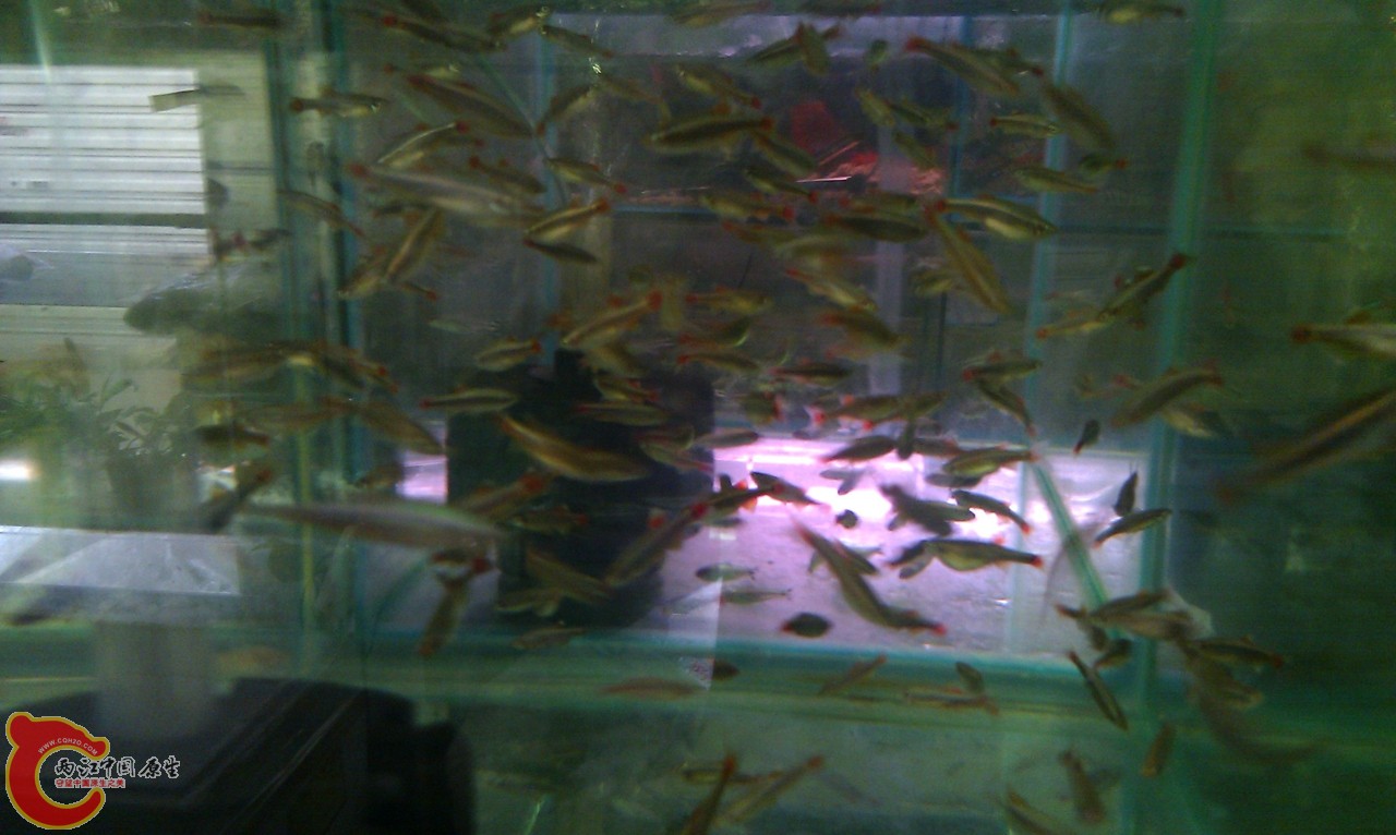 20120420-865.jpg