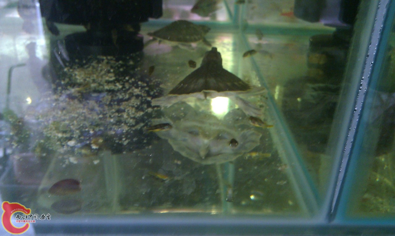20120420-866.jpg