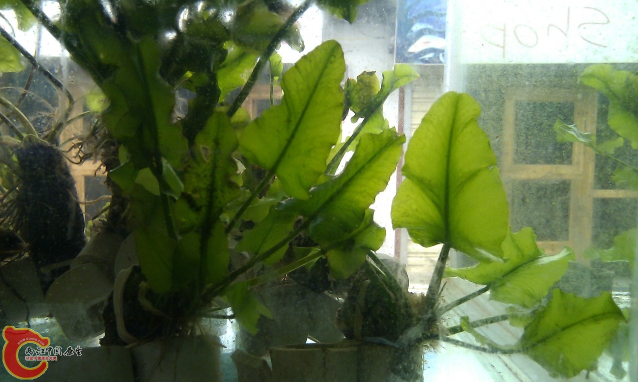 20120420-867.jpg