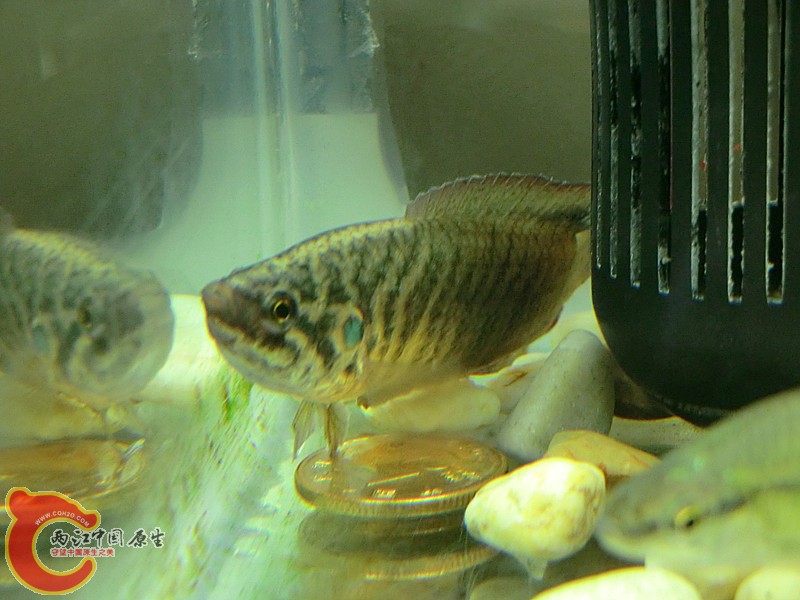 CIMG1149_副本.jpg