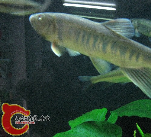 IMG_1625.jpg