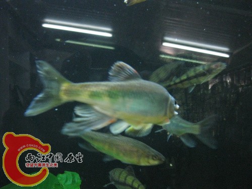 IMG_1626.jpg