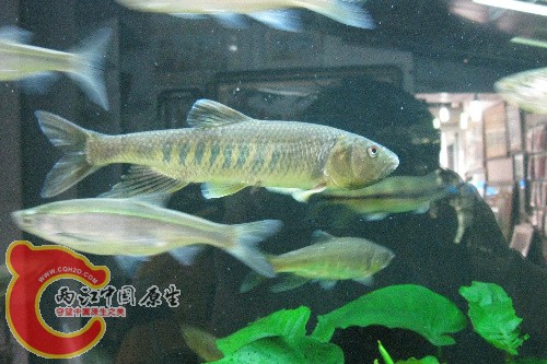 IMG_1629.jpg