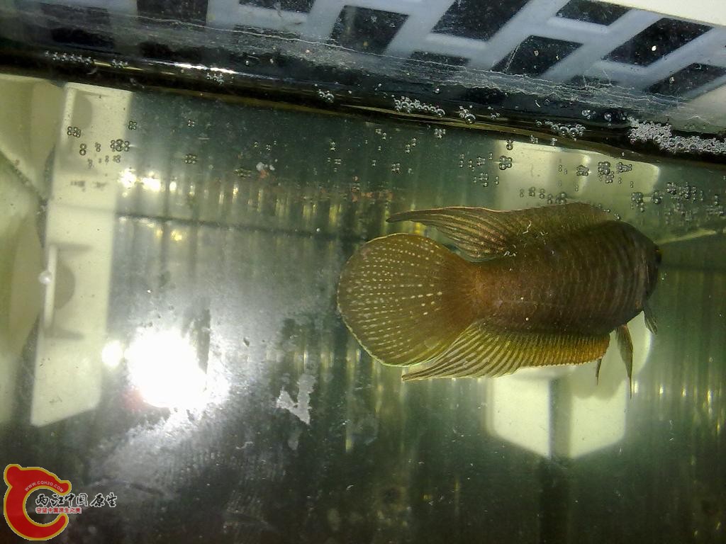 201204222682.jpg