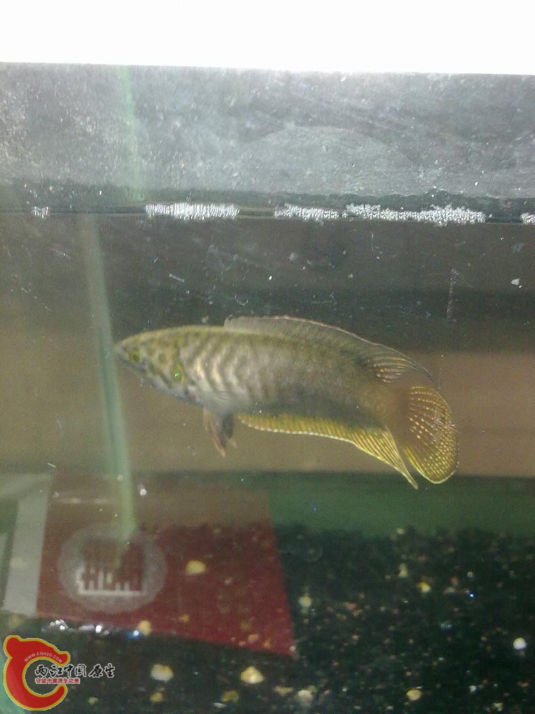 201204222695.jpg