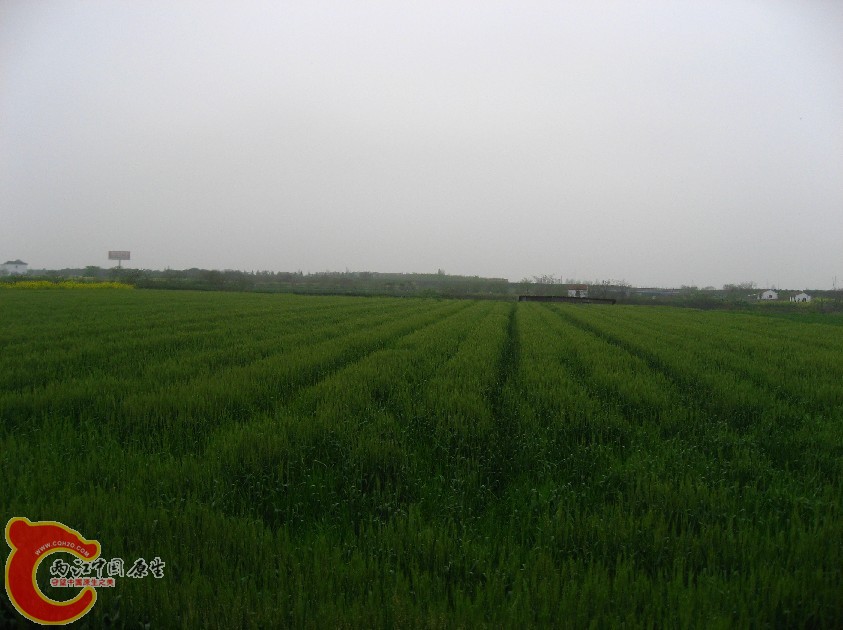 BM9.jpg
