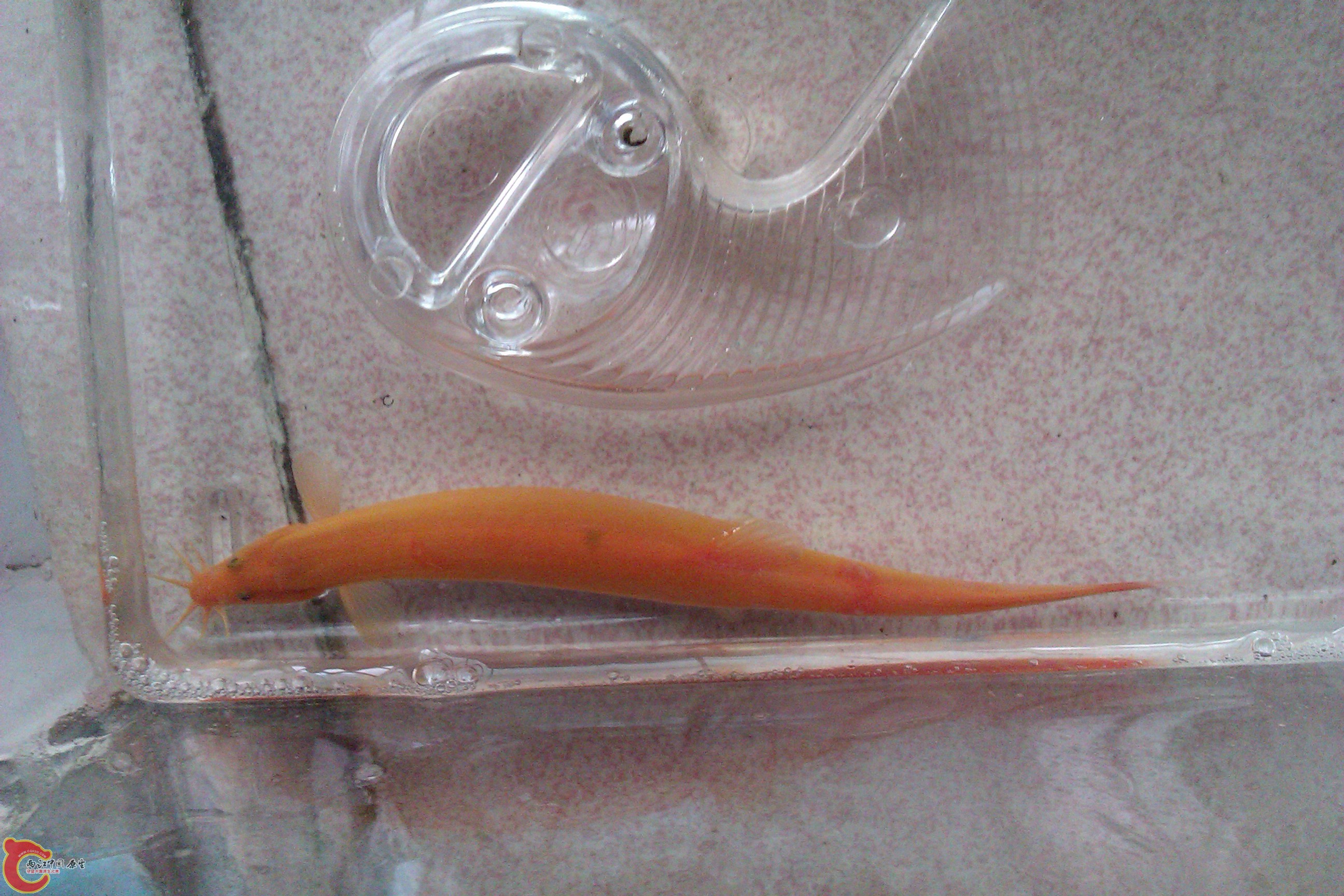 IMAG0289.jpg