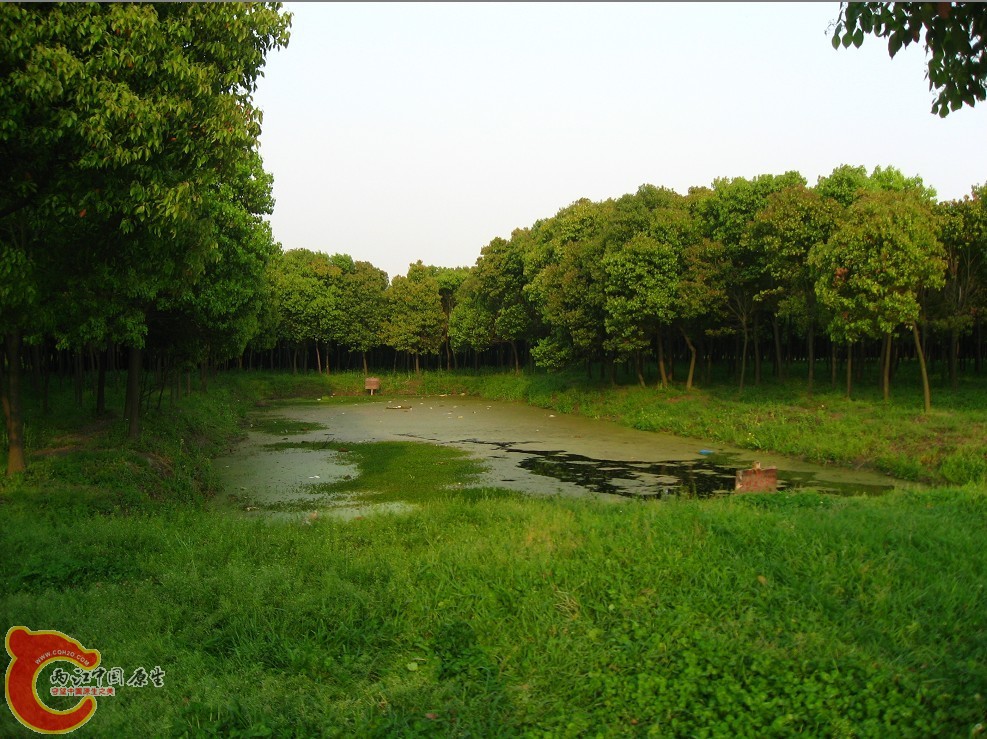 CHANGKANGLU.jpg