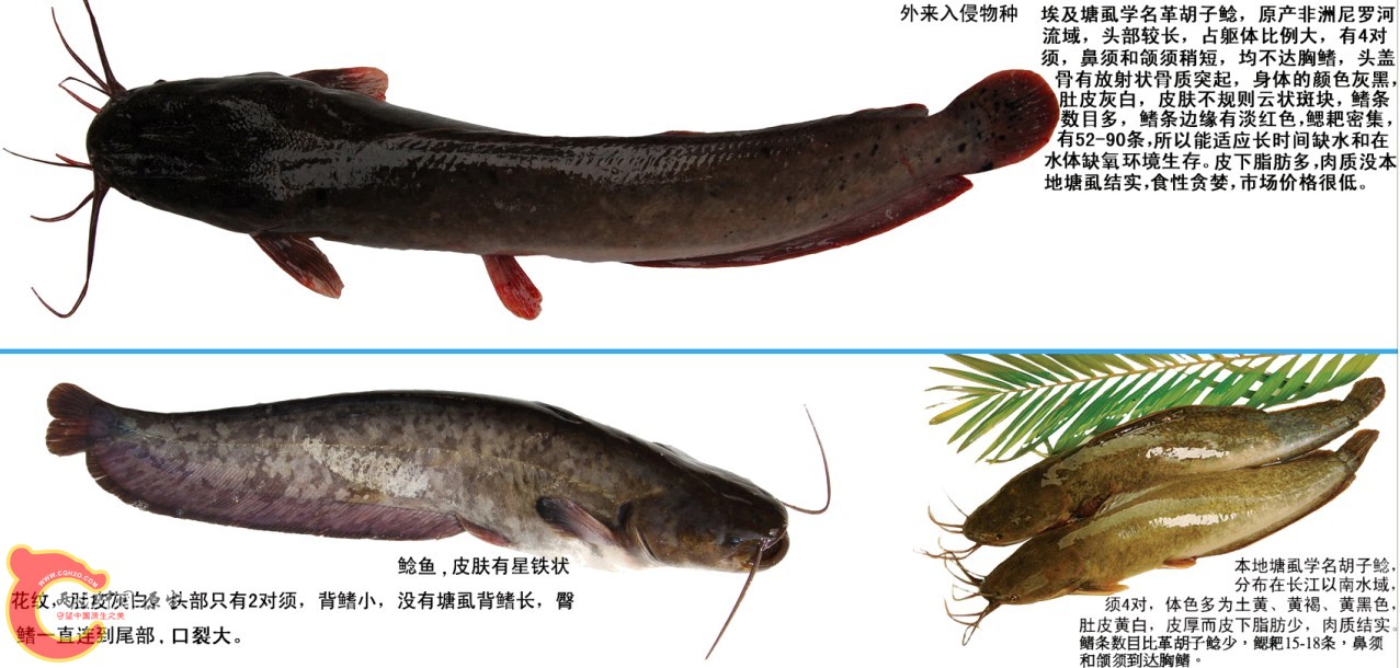QQ截图20120424094828.jpg