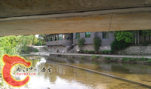 清澈的溪流 发现不少宽苗 可惜没工具，但是没发现成体，估计电工经常光顾 唉