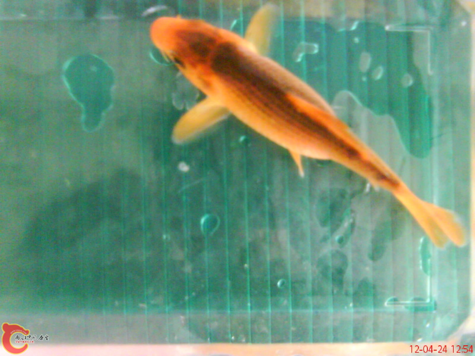DSC03366.JPG