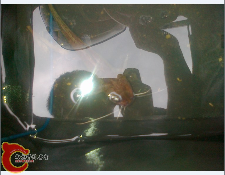 _@OXJNUT9PBTJS0MTA3W8%E.jpg