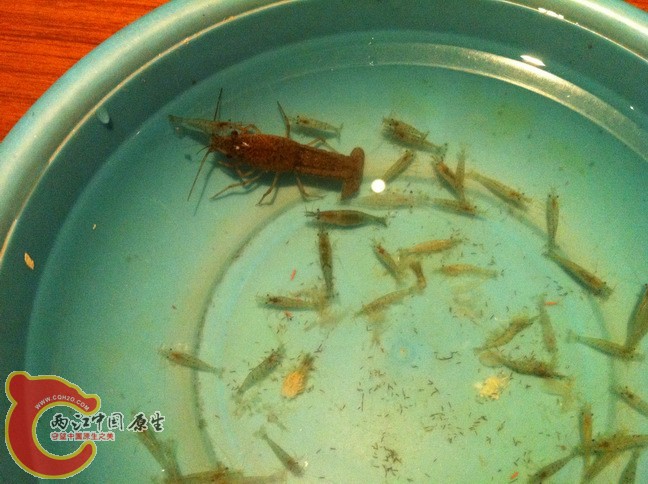 调整大小 IMG_1093.jpg