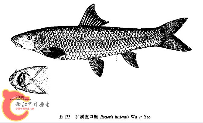 QQ截图20120424231550.jpg