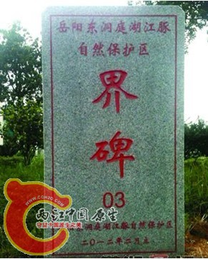 jiebei.jpg