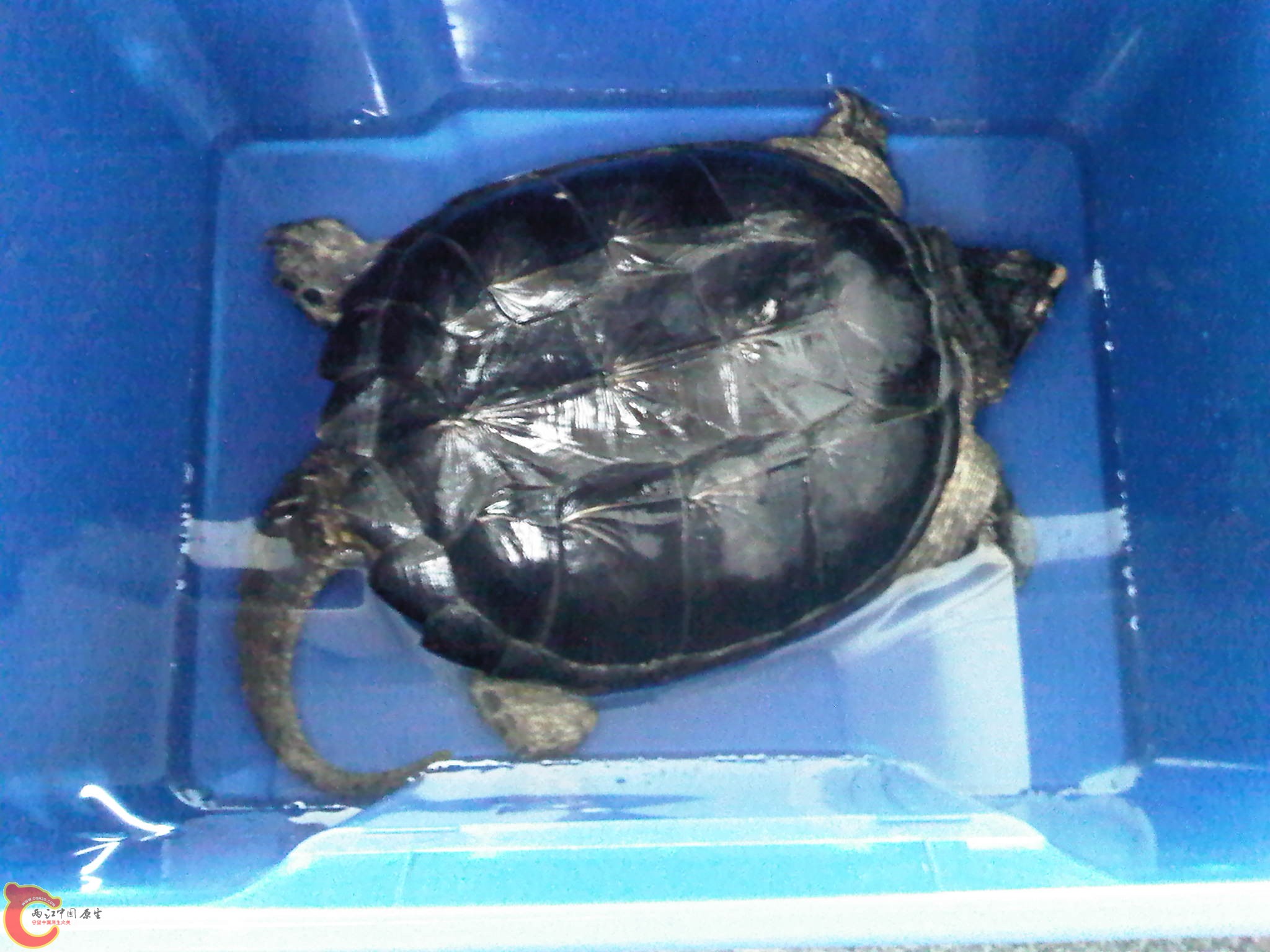 IMG-20120426-00215.jpg