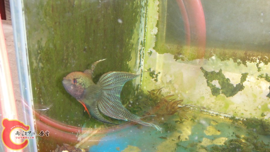 DSC00716_缩小大小.JPG