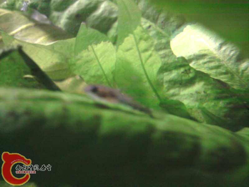 照片-0010.jpg