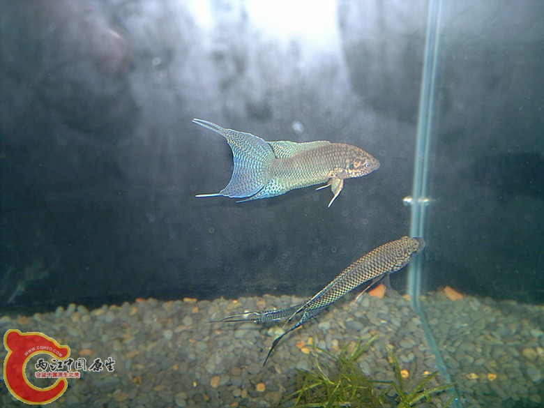 201204181462.jpg