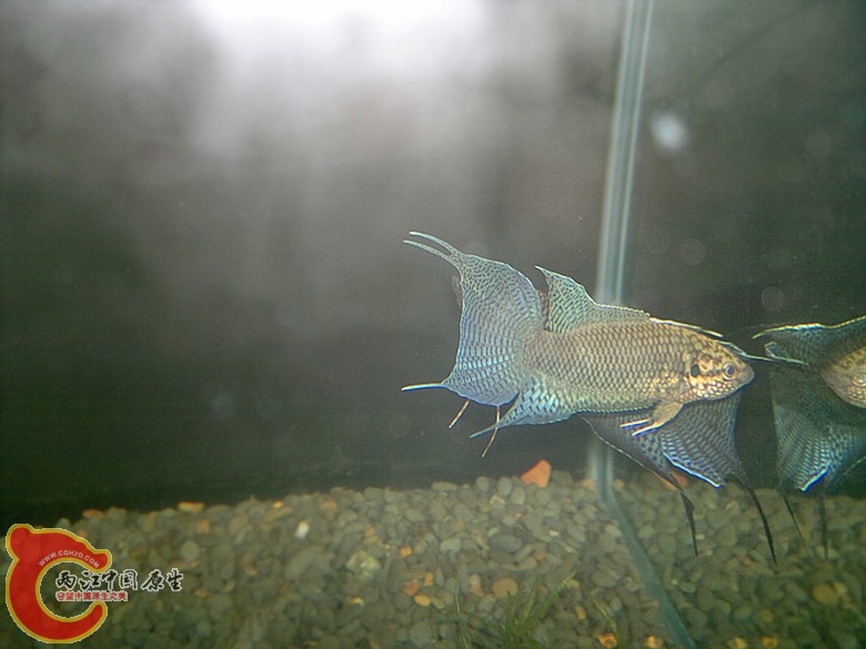 201204181468.jpg