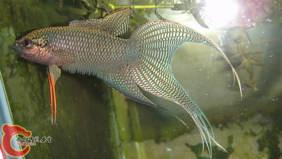 DSC00790_缩小大小.JPG