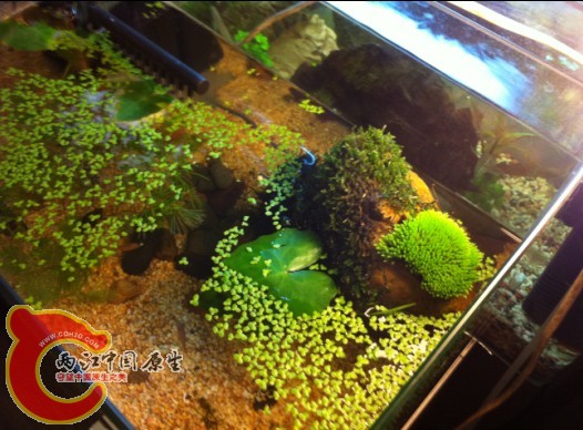 LBC{G(3EX6DSR_5388KG63T.jpg
