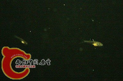 10052619529cebc7d08b8da267.jpg
