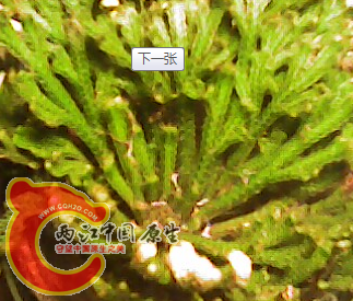 QQ截图20120428101805.png