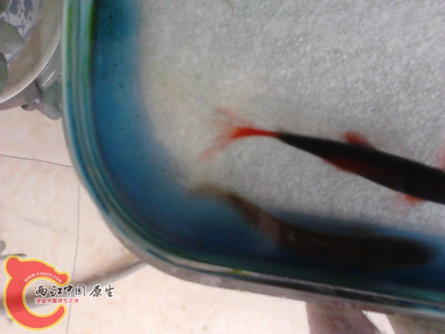 P290412_14.17_[01].jpg