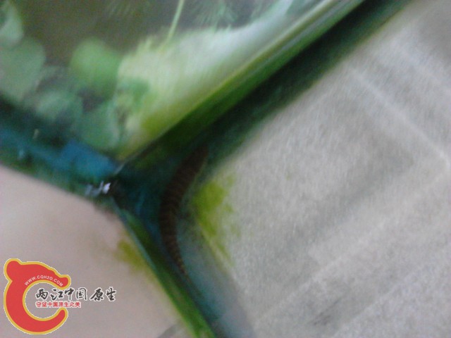 P290412_14.17.jpg