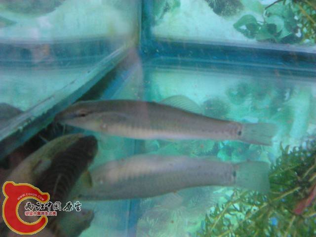 P290412_14.56.jpg