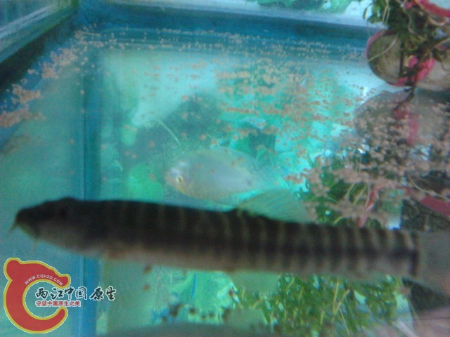 P290412_14.57_[01].jpg