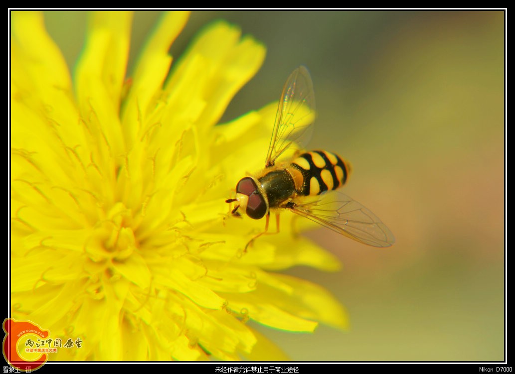 DSC_9275.jpg