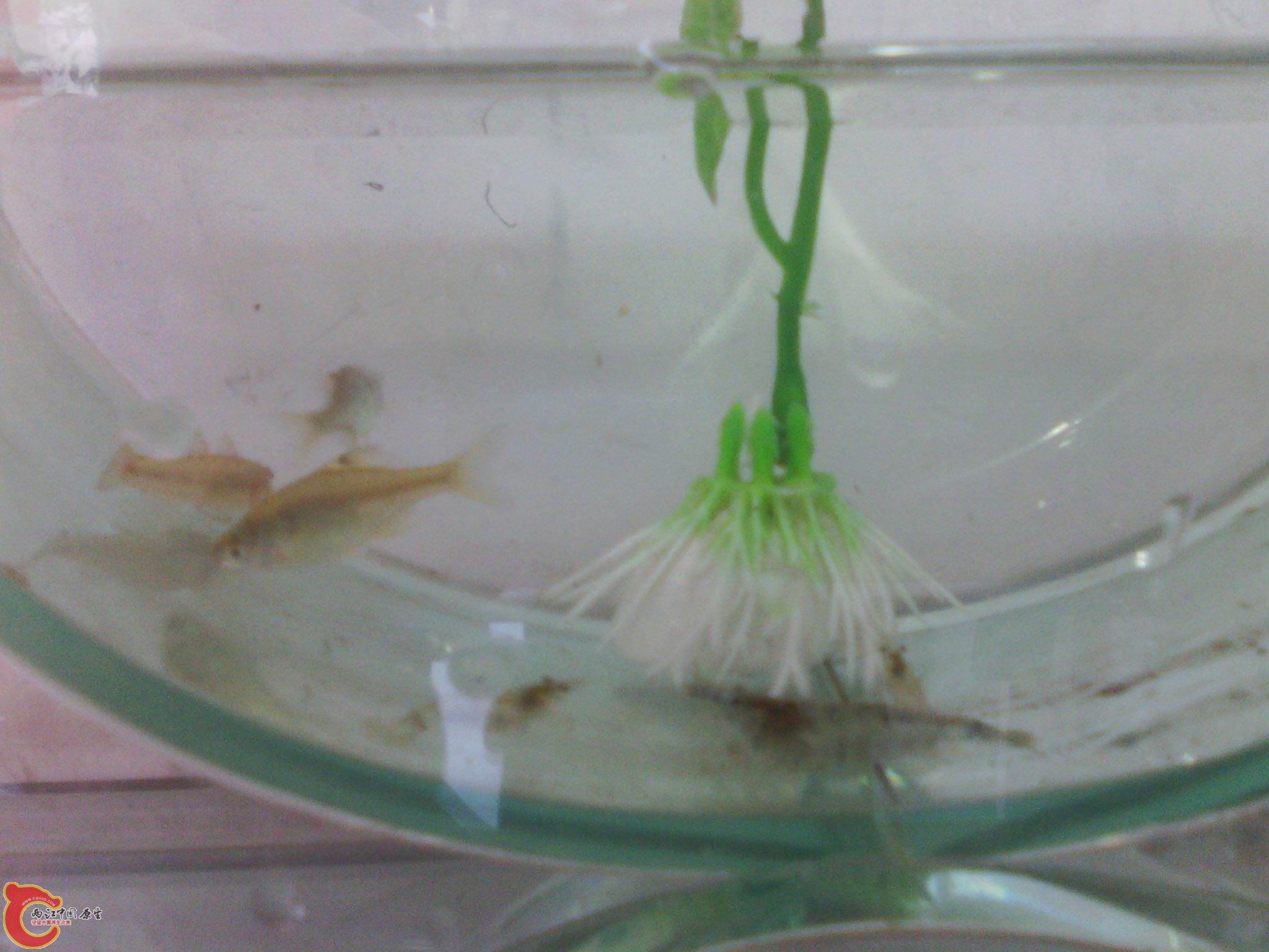 IMG_20120429_182531.jpg
