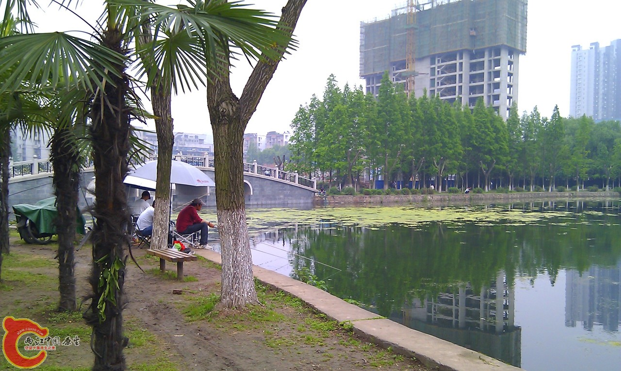 20120429-970.jpg