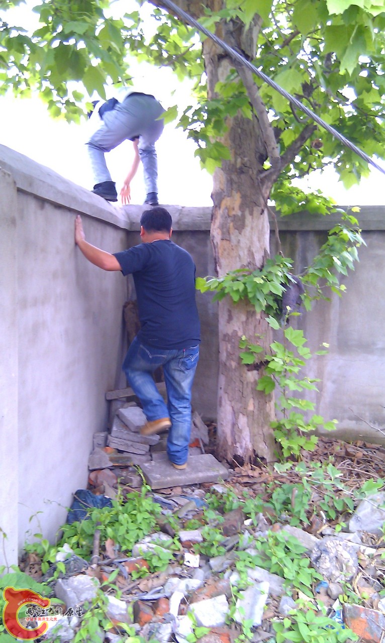20120429-1011.jpg