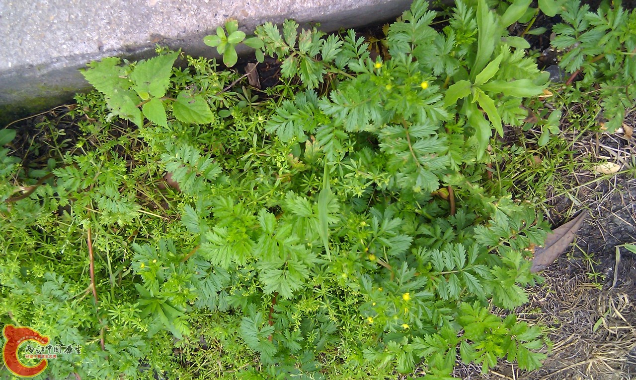 20120429-1000.jpg